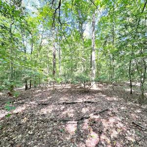 Photo #11 of SOLD property in Off Reynolds Drive, Carrollton, VA 5.1 acres