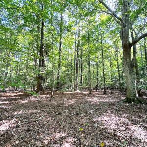 Photo #13 of SOLD property in Off Reynolds Drive, Carrollton, VA 5.1 acres