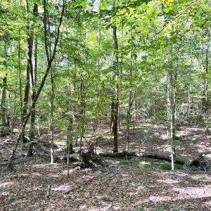 Photo #18 of SOLD property in Off Reynolds Drive, Carrollton, VA 5.1 acres