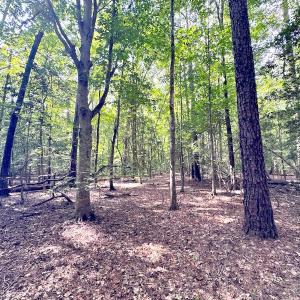 Photo #19 of SOLD property in Off Reynolds Drive, Carrollton, VA 5.1 acres