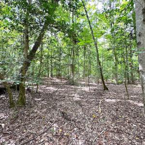 Photo #20 of SOLD property in Off Reynolds Drive, Carrollton, VA 5.1 acres