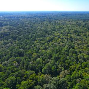 Photo #5 of SOLD property in Off Reynolds Drive, Carrollton, VA 5.1 acres