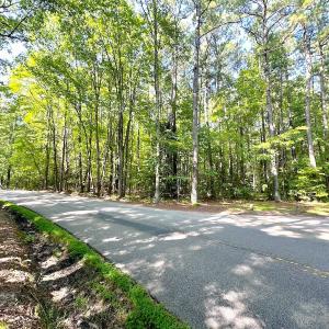 Photo #6 of SOLD property in Off Reynolds Drive, Carrollton, VA 5.1 acres