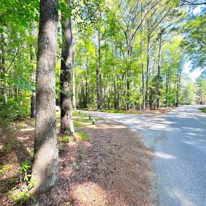 Photo #7 of SOLD property in Off Reynolds Drive, Carrollton, VA 5.1 acres