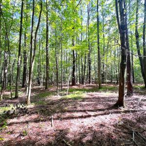 Photo #8 of SOLD property in Off Reynolds Drive, Carrollton, VA 5.1 acres