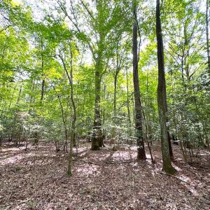 Photo #21 of SOLD property in Off Reynolds Drive, Carrollton, VA 5.1 acres