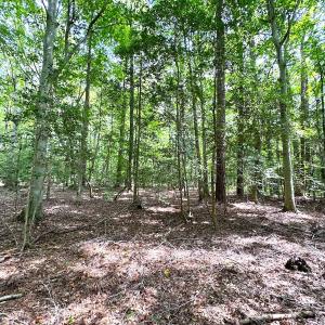 Photo #23 of SOLD property in Off Reynolds Drive, Carrollton, VA 5.1 acres