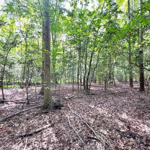 Photo #24 of SOLD property in Off Reynolds Drive, Carrollton, VA 5.1 acres