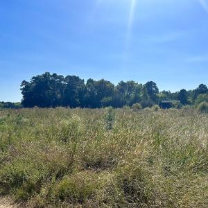 Photo #12 of SOLD property in Off Old Coats Rd, Lillington, NC 9.0 acres