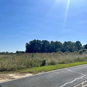 Photo #13 of SOLD property in Off Old Coats Rd, Lillington, NC 9.0 acres