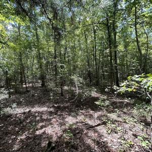 Photo #18 of SOLD property in Off Old Coats Rd, Lillington, NC 9.0 acres