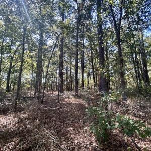 Photo #20 of SOLD property in Off Old Coats Rd, Lillington, NC 9.0 acres