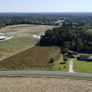 Photo #3 of SOLD property in Off Old Coats Rd, Lillington, NC 9.0 acres