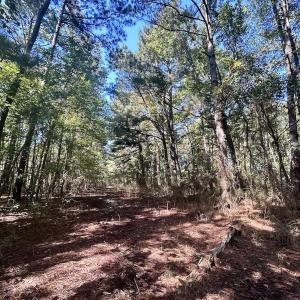 Photo #21 of SOLD property in Off Old Coats Rd, Lillington, NC 9.0 acres