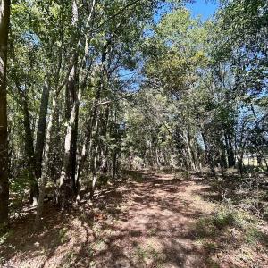 Photo #22 of SOLD property in Off Old Coats Rd, Lillington, NC 9.0 acres
