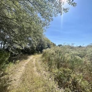 Photo #23 of SOLD property in Off Old Coats Rd, Lillington, NC 9.0 acres