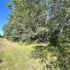 Photo #24 of SOLD property in Off Old Coats Rd, Lillington, NC 9.0 acres