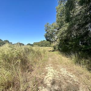 Photo #25 of SOLD property in Off Old Coats Rd, Lillington, NC 9.0 acres