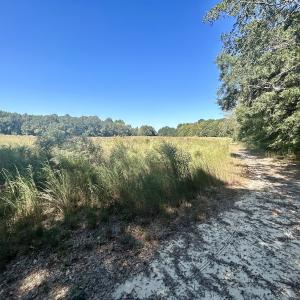 Photo #26 of SOLD property in Off Old Coats Rd, Lillington, NC 9.0 acres