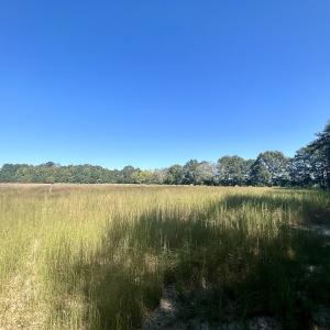 Photo #27 of SOLD property in Off Old Coats Rd, Lillington, NC 9.0 acres