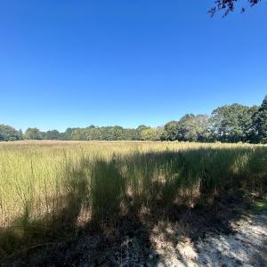Photo #28 of SOLD property in Off Old Coats Rd, Lillington, NC 9.0 acres