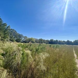 Photo #29 of SOLD property in Off Old Coats Rd, Lillington, NC 9.0 acres