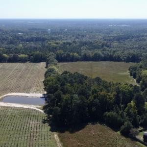 Photo #4 of SOLD property in Off Old Coats Rd, Lillington, NC 9.0 acres