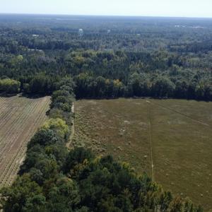 Photo #5 of SOLD property in Off Old Coats Rd, Lillington, NC 9.0 acres