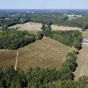 Photo #7 of SOLD property in Off Old Coats Rd, Lillington, NC 9.0 acres