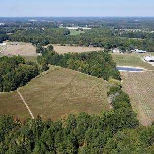 Photo #8 of SOLD property in Off Old Coats Rd, Lillington, NC 9.0 acres