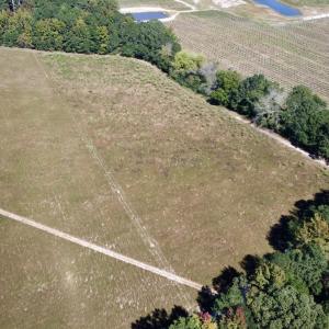 Photo #10 of SOLD property in Off Old Coats Rd, Lillington, NC 9.0 acres