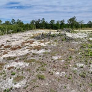 Photo #17 of SOLD property in Off Cedar Creek Road, Fayetteville, NC 10.9 acres