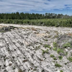 Photo #19 of SOLD property in Off Cedar Creek Road, Fayetteville, NC 10.9 acres