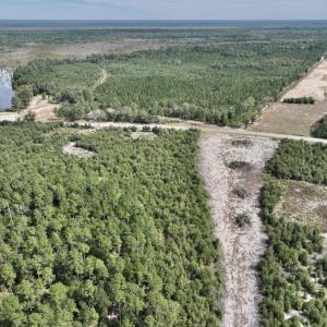 Photo #7 of SOLD property in Off Cedar Creek Road, Fayetteville, NC 10.9 acres
