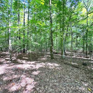 Photo #11 of Off Doggett Lane, Carrollton, VA 17.4 acres