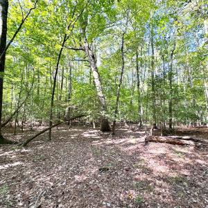 Photo #13 of Off Doggett Lane, Carrollton, VA 17.4 acres