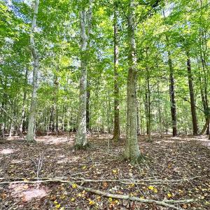 Photo #16 of Off Doggett Lane, Carrollton, VA 17.4 acres