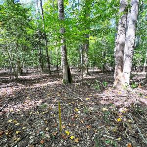 Photo #17 of Off Doggett Lane, Carrollton, VA 17.4 acres