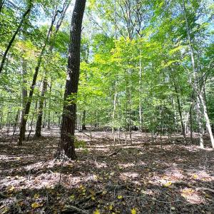 Photo #18 of Off Doggett Lane, Carrollton, VA 17.4 acres