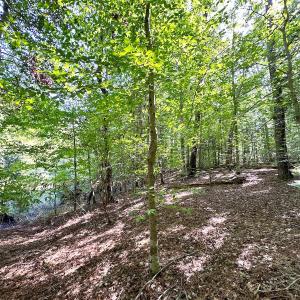 Photo #19 of Off Doggett Lane, Carrollton, VA 17.4 acres