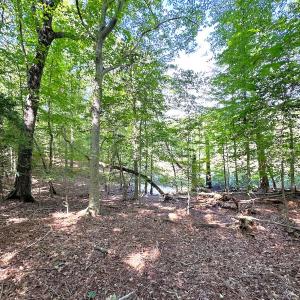 Photo #20 of Off Doggett Lane, Carrollton, VA 17.4 acres