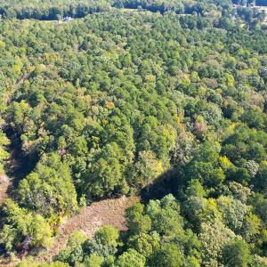 Photo #22 of Off Doggett Lane, Carrollton, VA 17.4 acres