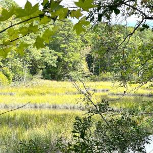 Photo #23 of Off Doggett Lane, Carrollton, VA 17.4 acres