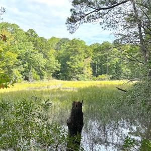 Photo #24 of Off Doggett Lane, Carrollton, VA 17.4 acres