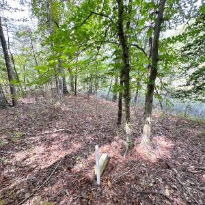 Photo #25 of Off Doggett Lane, Carrollton, VA 17.4 acres