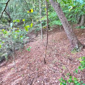 Photo #26 of Off Doggett Lane, Carrollton, VA 17.4 acres