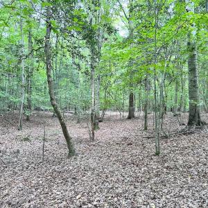 Photo #30 of Off Doggett Lane, Carrollton, VA 17.4 acres