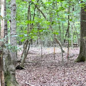 Photo #31 of Off Doggett Lane, Carrollton, VA 17.4 acres