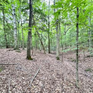Photo #32 of Off Doggett Lane, Carrollton, VA 17.4 acres