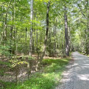 Photo #7 of Off Doggett Lane, Carrollton, VA 17.4 acres